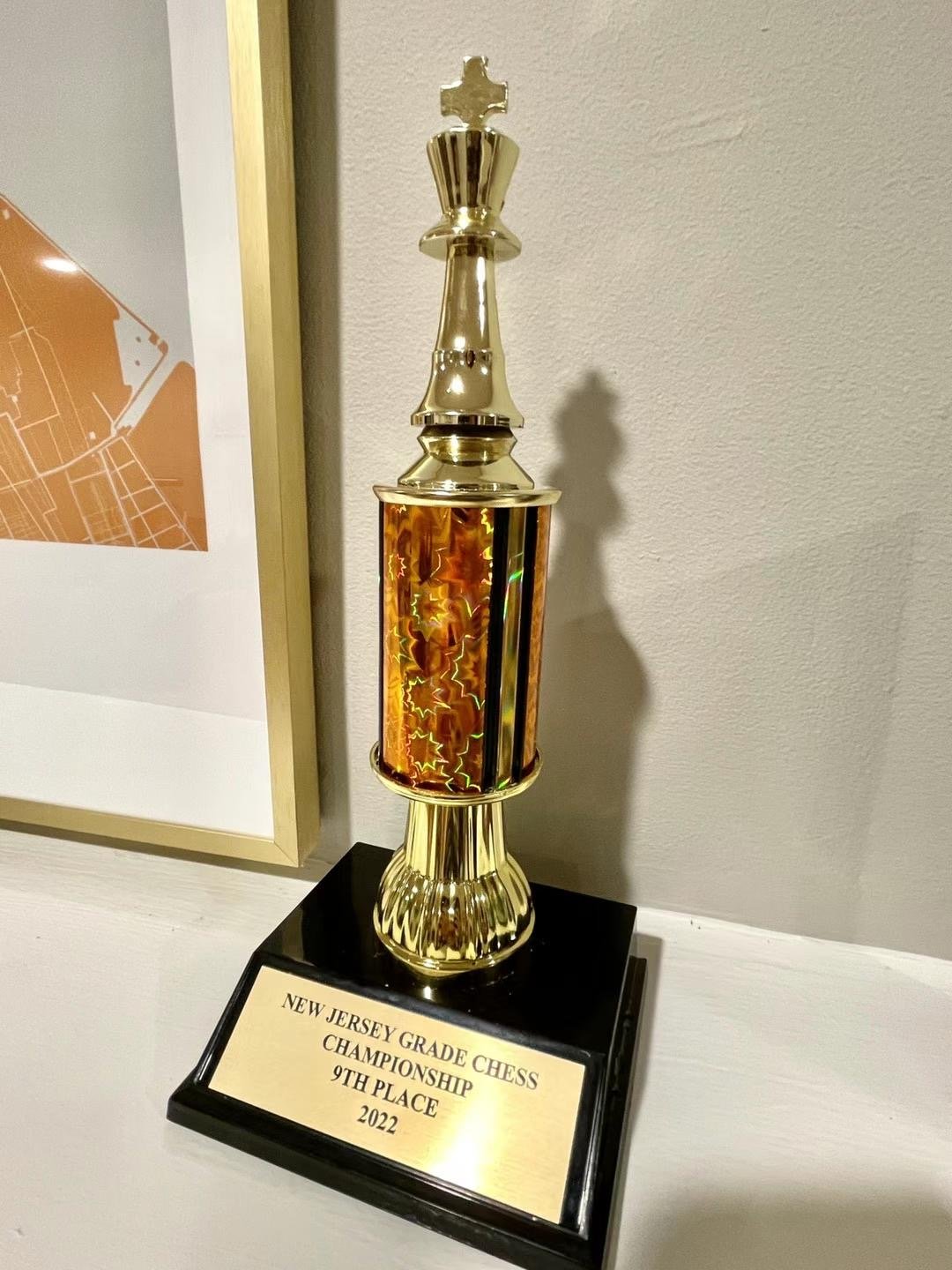 Recent Student Success at Chess In Millburn Academy — chess tournament result at Chess in Millburn